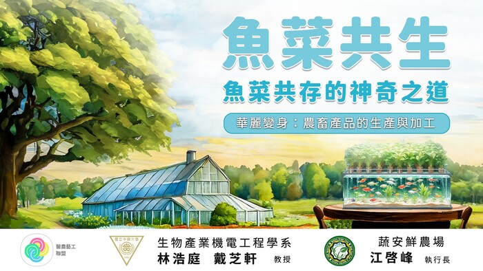 魚菜共生:魚菜共存的神奇之道圖片